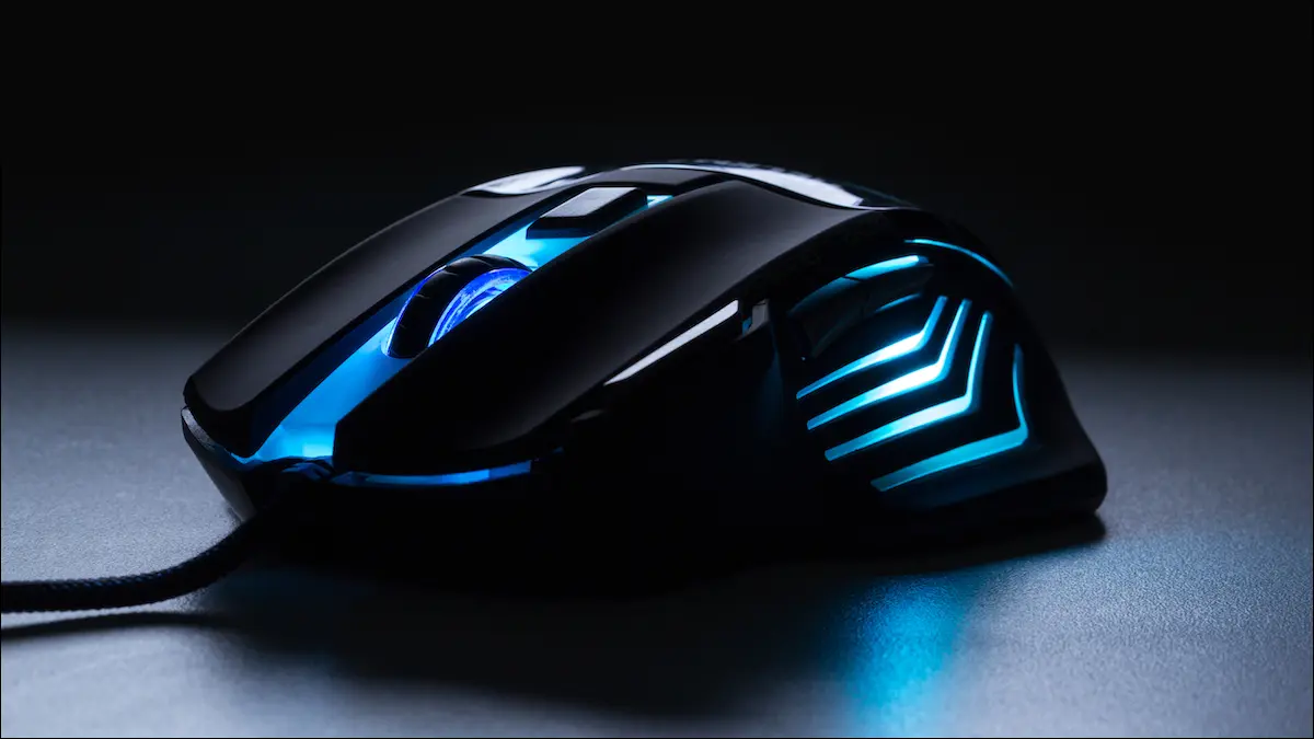 Mouse